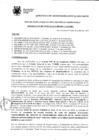 Vista preliminar de documento Resolución de Gerencia