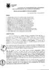 Vista preliminar de documento Resolución de Gerencia
