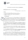 Vista preliminar de documento Resolución de Gerencia