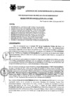 Vista preliminar de documento Resolución de Gerencia