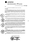 Vista preliminar de documento Resolucion_2021_439.pdf