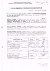 Vista preliminar de documento R.D. Nº 218.pdf