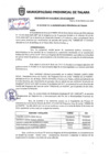 Vista preliminar de documento Resolución de alcaldía N° 0233-02-2019-MPT