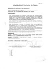Vista preliminar de documento Resolución de alcaldía N° 0058-01-2015-MPT