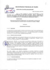 Vista preliminar de documento Ordenanza municipal N° 0004-01-2019-MPT