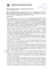 Vista preliminar de documento Resolución Sub Gerencial N° 33936-10-2020-MPT