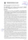 Vista preliminar de documento Resolución Sub Gerencial N° 9427-10-2020-MPT