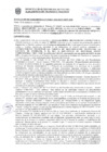 Vista preliminar de documento Resolución Sub Gerencial N° 34627-10-2020-MPT