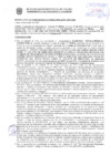 Vista preliminar de documento Resolución Sub Gerencial N° 9432-10-2020-MPT