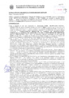 Vista preliminar de documento Resolución Sub Gerencial N° 34156-10-2020-MPT