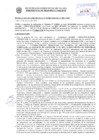 Vista preliminar de documento Resolución Sub Gerencial N° 33865-10-2020-MPT