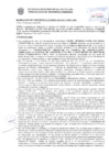 Vista preliminar de documento Resolución Sub Gerencial N° 34925-10-2020-MPT