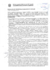 Vista preliminar de documento Resolución Sub Gerencial N° 34934-10-2020-MPT