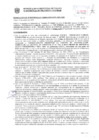 Vista preliminar de documento Resolución Sub Gerencial N° 34816-10-2020-MPT