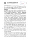 Vista preliminar de documento Resolución Sub Gerencial N° 33991-09-2020-MPT