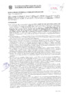Vista preliminar de documento Resolución Sub Gerencial N° 035263-10-2020-MPT