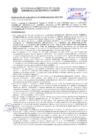 Vista preliminar de documento Resolución Sub Gerencial N° 033909-2020-10-2019-MPT