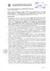 Vista preliminar de documento Resolución Sub Gerencial N° 33952-10-2020-MPT
