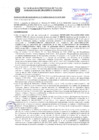 Vista preliminar de documento Resolución Sub Gerencial N° 033833-2020-10-2020-MPT