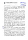 Vista preliminar de documento Resolución Sub Gerencial N° 33717-10-2020-MPT