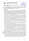 Vista preliminar de documento Resolución Sub Gerencial N° 33905-10-2020-MPT