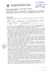 Vista preliminar de documento Resolución Sub Gerencial N° 34908-10-2020-MPT