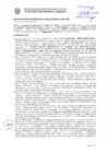 Vista preliminar de documento Resolución Sub Gerencial N° 033533-2020-10-2020-MPT