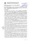 Vista preliminar de documento Resolución Sub Gerencial N° 33716-10-2020-MPT