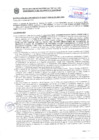 Vista preliminar de documento Resolución Sub Gerencial N° 34877-10-2020-MPT