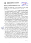 Vista preliminar de documento Resolución Sub Gerencial N° 33638-10-2020-MPT