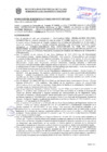 Vista preliminar de documento Resolución Sub Gerencial N° 34623-10-2020-MPT