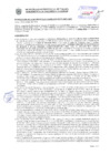 Vista preliminar de documento Resolución Sub Gerencial N° 034385-2020-10-2020-MPT