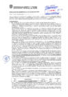 Vista preliminar de documento Resolución Sub Gerencial N° 171-10-2020-MPT