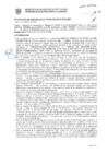 Vista preliminar de documento Resolución Sub Gerencial N° 009103-2019-02-2020-MPT