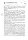 Vista preliminar de documento Resolución Sub Gerencial N° 009183-2019-02-2020-MPT