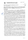 Vista preliminar de documento Resolución Sub Gerencial N° 009349-02-2020-MPT