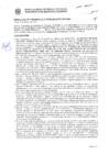 Vista preliminar de documento Resolución Sub Gerencial N° 009189-2019-02-2020-MPT