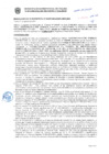 Vista preliminar de documento Resolución Sub Gerencial N° 016187-08-2019-MPT