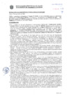 Vista preliminar de documento Resolución Sub Gerencial N° 033541-09-2020-MPT