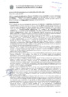 Vista preliminar de documento Resolución Sub Gerencial N° 033954-10-2020-MPT
