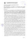 Vista preliminar de documento Resolución Sub Gerencial N° 008799-10-2020-MPT