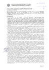 Vista preliminar de documento Resolución Sub Gerencial N° 033902-10-2020-MPT