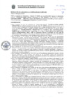 Vista preliminar de documento Resolución Sub Gerencial N° 009393-2019-03-2020-MPT