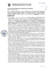 Vista preliminar de documento Resolución Sub Gerencial N° 009893-02-2020-MPT