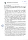 Vista preliminar de documento Resolución Sub Gerencial N° 033690-09-2020-MPT