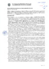 Vista preliminar de documento Resolución Sub Gerencial N° 009474-03-2020-MPT
