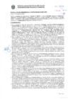 Vista preliminar de documento Resolución Sub Gerencial N° 009955-03-2020-MPT