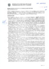 Vista preliminar de documento Resolución Sub Gerencial N° 9128-2019-02-2020-MPT