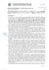 Vista preliminar de documento Resolución Sub Gerencial N° 009774-03-2020-MPT