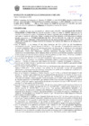 Vista preliminar de documento Resolución Sub Gerencial N° 009965-03-2020-MPT